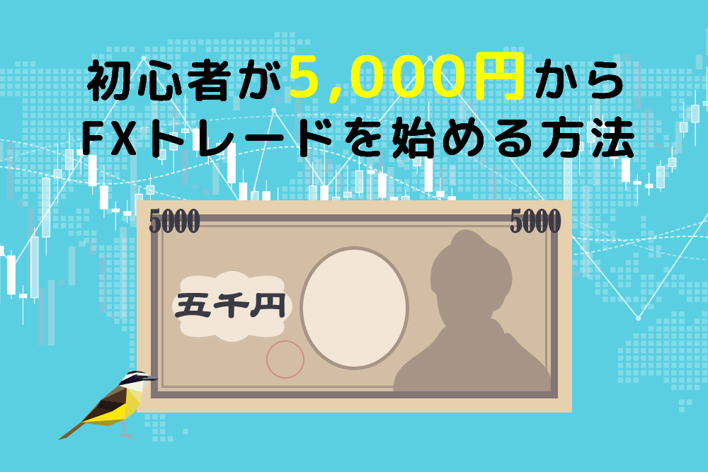 画：FX初心者は5,000円から始めることができる