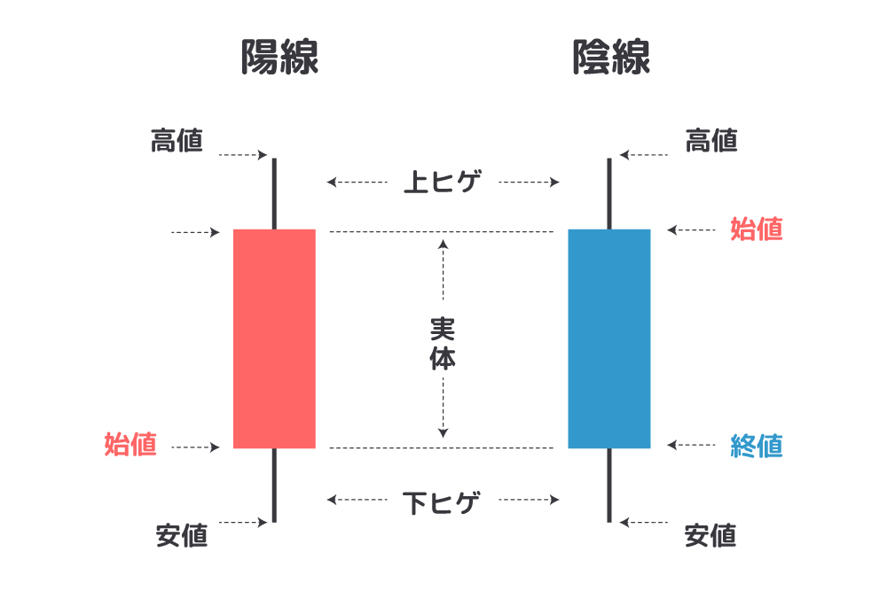 画：初心者に解説！FXのローソク足の見方